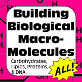 Building Biological Macromolecules Activities - Senior/AP Biology, Biochemistry