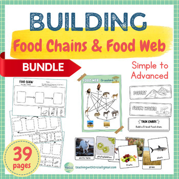 Preview of Building Food Chains & Food Web BUNDLE: Simple to Advanced, Posters, Worksheets