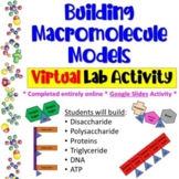 Building Macromolecule Models * Digital Lab Activity