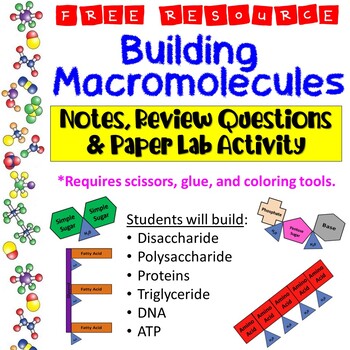 Building Macromolecules Lab Activity, Notes, and Review Questions