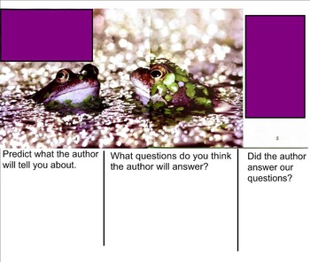 Preview of Building Questioning Skills using Informational Text - Frogs