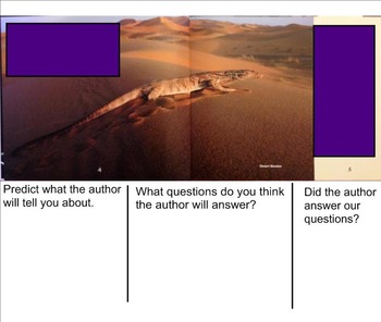 Preview of Building Questioning Skills using Informational Text - Lizards