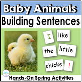 Baby Animals in Spring Pocket Chart Sentences