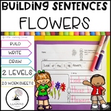 Building Sentences Flowers and Plants | Kindergarten First