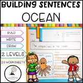 Building Sentences:  Ocean Animals | Kindergarten First Gr