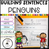 Building Sentences  Penguin Facts for Kids | Kindergarten 