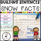 Building Sentences Snow Facts for Kids | Kindergarten Firs