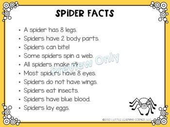 Spider Facts for Kids: Arachnid Information for Students