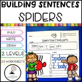 Building Sentences Spider Facts | Kindergarten First Grade