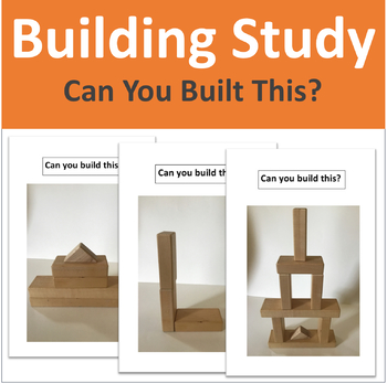 Preview of Building Study - Can You Built It?