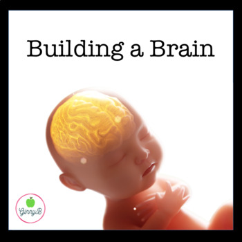 Preview of Building a Brain: The Developing Child