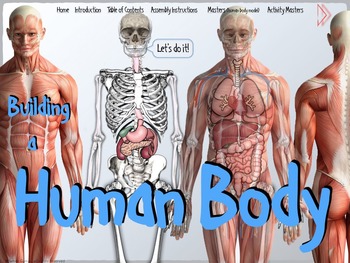 Preview of Building a Human Body BUNDLE / Distance Learning