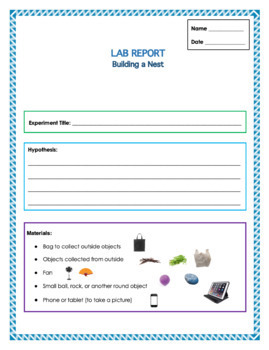 Building A Nest Experiment - Lab Report Template By Hands On Hearts Full