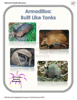 Preview of Built Like Tanks: Armadillos Comprehension and Essay Response: GR2