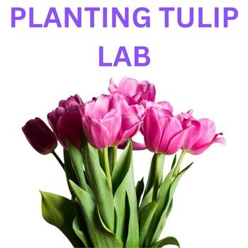 Preview of Fall Lab  Plants Gardening Activity How to plant tulips with your class