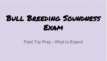 Preview of Bull Semen Testing Field Trip Prep