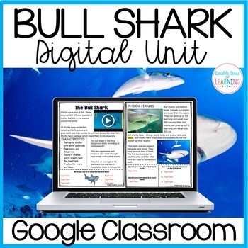 Preview of Bull Shark Digital Distance Learning Unit for GOOGLE