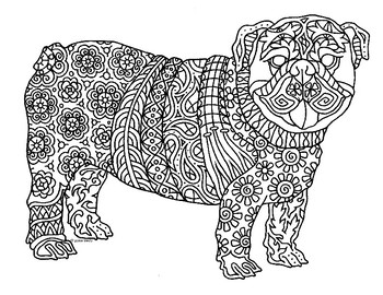 bulldong coloring pages