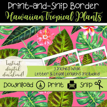 17+ Plant Bulletin Board Border