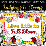 Bulletin Board Set, Ladybug & Daisy Themed Set, Spring Cla