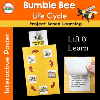 Preview of Bumble Bee Insect Life Cycle Project