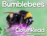 Bumblebee Close Read
