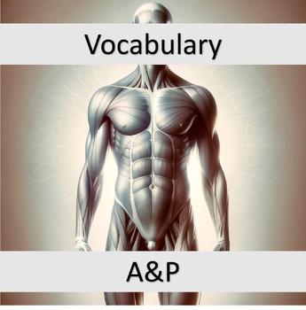 Preview of Bundle: A&P Vocabulary
