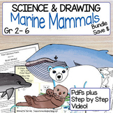 4 + 1 Marine Mammals Directed Drawing | How to Draw Animal
