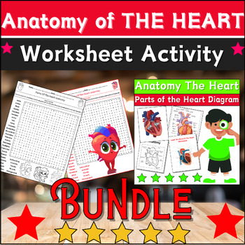 Preview of Bundle Anatomy of THE HEART Diagrams Activities: Labeling & Coloring,Word Search