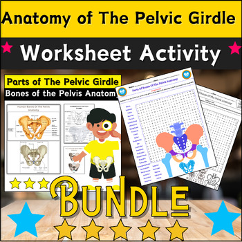 Preview of Bundle Anatomy of The Pelvic Girdle Worksheet Activity: Labeling/Coloring & Word