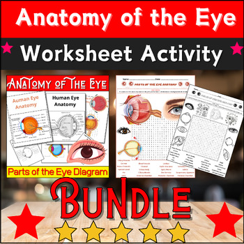 Preview of Bundle Anatomy of the Eye Diagrams Activities: Labeling & Coloring,Word Search