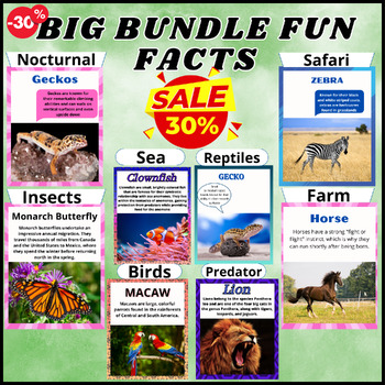 Preview of Bundle,Birds,Insects,Farm,Sea,Nocturnal,Reptiles & Safari animals Facts