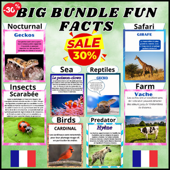 Preview of Bundle,Birds,Insects,Farm,Sea,Nocturnal,Reptiles &Safari animals Facts In French