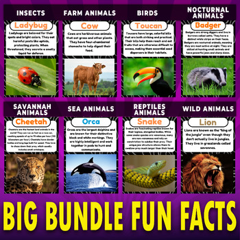 Preview of Bundle,Birds,Insects,Wild,Farm,Sea,Nocturnal,Reptiles & Safari animals Facts