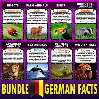 Preview of Bundle Birds,bugs,Wild,Farm,Sea,Nocturnal,Reptiles & Safari Animals German Facts