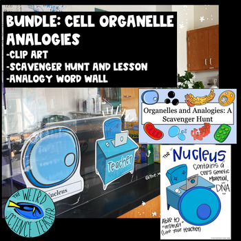 Preview of Bundle: Cell Analogy Scavenger Hunt, Word Wall and Clipart Images