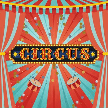 Preview of Bundle - Circus PE Unit for Prep to Year 6