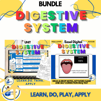 Preview of Digestive system worksheet, notes + activity Digestion BUNDLE, 7th grade