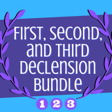 Bundle: First, Second, and Third Declension Practice Activ