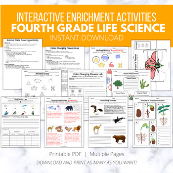 Preview of Bundle, Fourth Grade Exciting Animal and Plant Needs Worksheets, NGSS Aligned