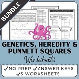 Genetics, Heredity, & Punnett Squares Worksheets Bundle - 