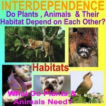 Preview of INTERDEPENDENCE BUNDLE - Plants and Animals Need Each Other