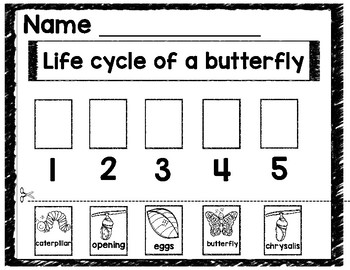 Bundle! Life Cycle of Frog, Butterfly, Growing a Flower, Skip Counting