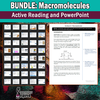 Preview of Bundle: Macromolecules Active Reading and PowerPoint (Ch1)