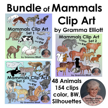Preview of Bundle Mammals Clip Art