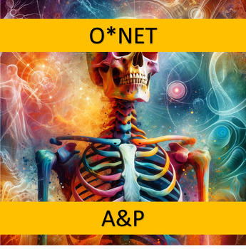 Preview of Bundle: O*NET Career Exploration for A&P Google Forms™