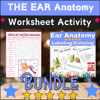 Preview of Bundle PARTS OF THE EAR Anatomy Activities: Labeling & Coloring,Word Search