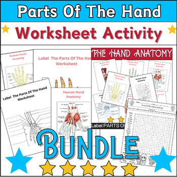 Preview of Bundle ⭐ Parts of The Hand ANATOMY Activities: Labeling & Coloring,Word Search ✅