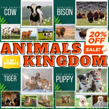 Preview of Bundle : Real Life Photos For 4 Types of Animal Kingdom
