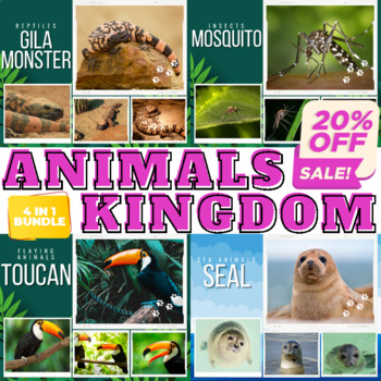 Preview of Bundle : Real Life Photos For 4 Types of Animal Kingdom - Vol 2